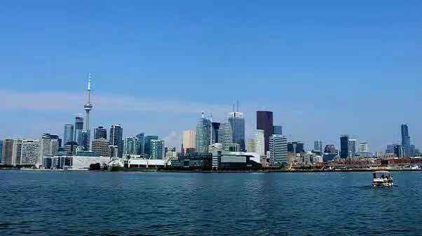 了解“多伦多”